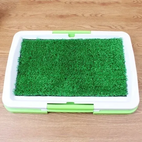 D_NQ_NP_2X_984547-MLC47925338607_102021-F